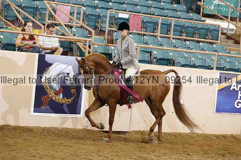 Proof 12yn_09254