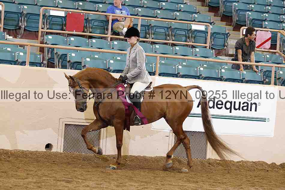 Proof 12yn_09255