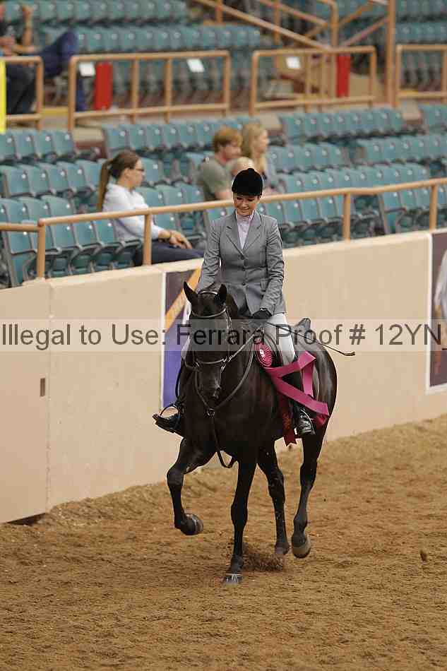 Proof 12yn_09256