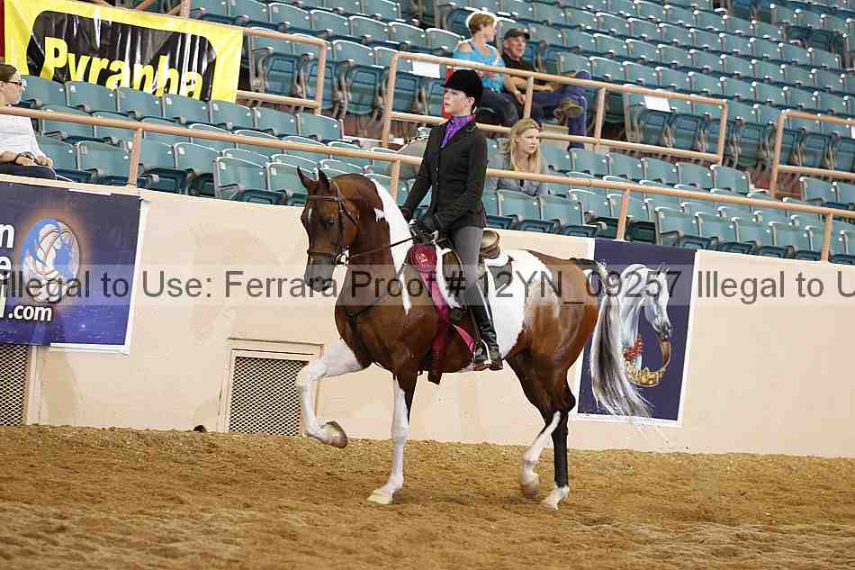 Proof 12yn_09257