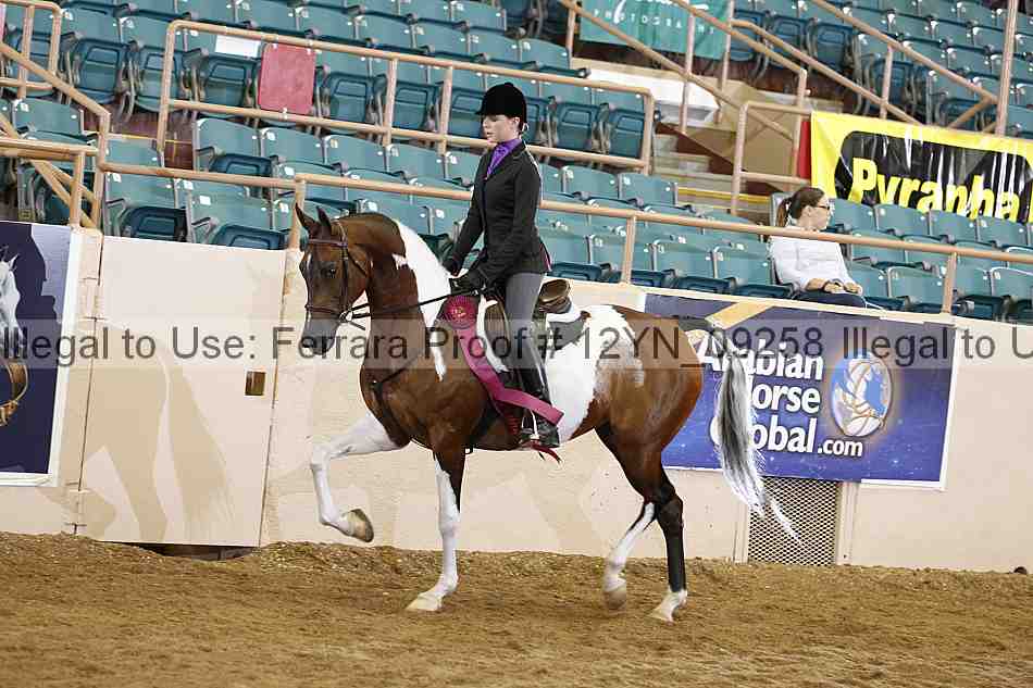 Proof 12yn_09258