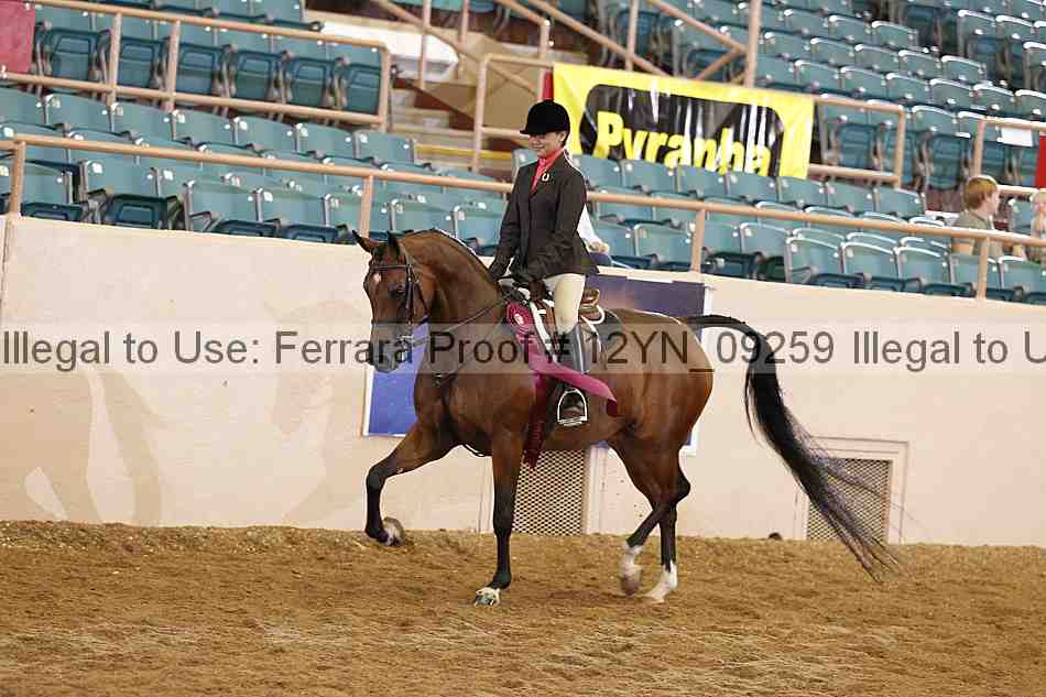 Proof 12yn_09259