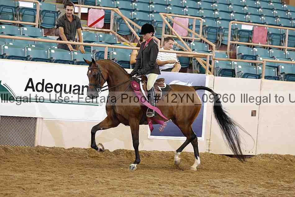 Proof 12yn_09260