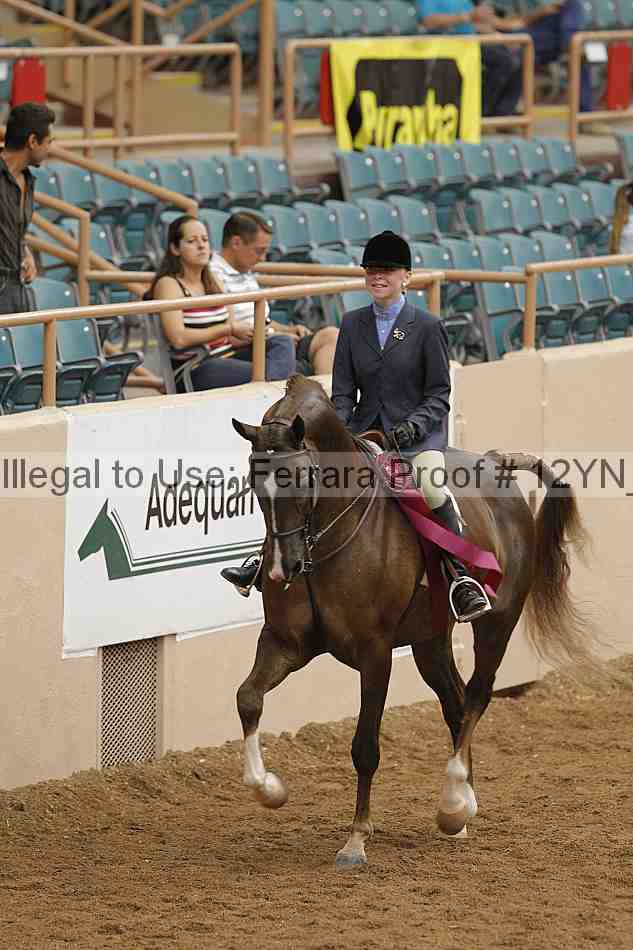 Proof 12yn_09261