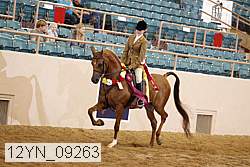 12yn_09263 proof
