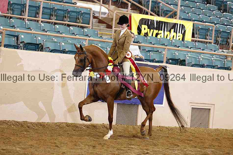 Proof 12yn_09264