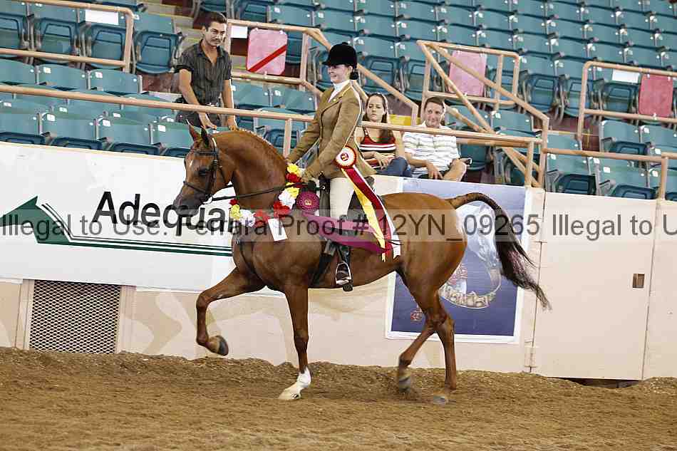 Proof 12yn_09265