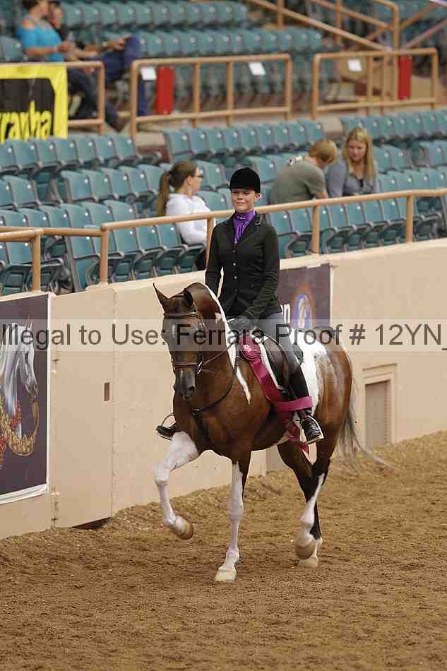 Proof 12yn_09267