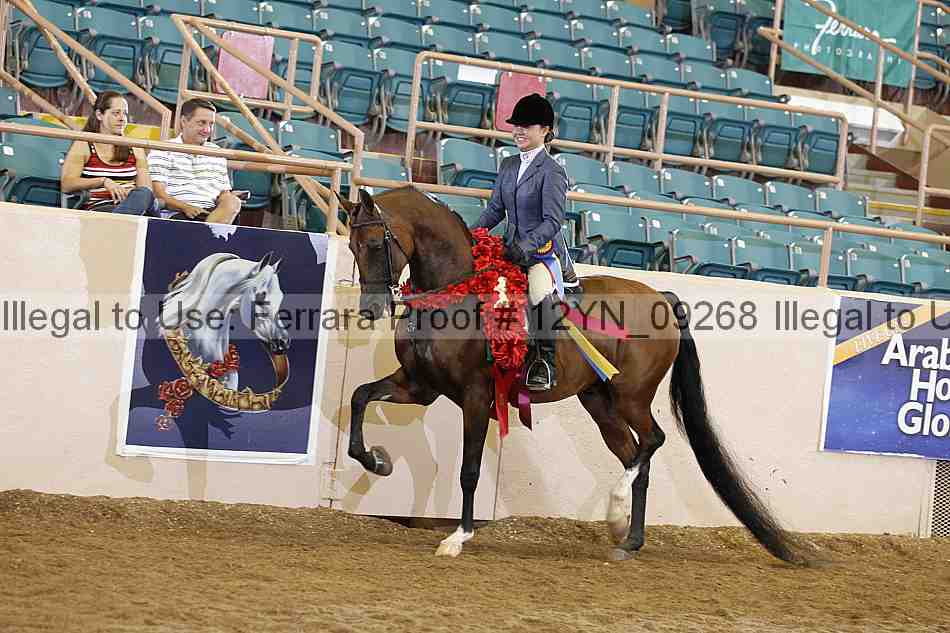 Proof 12yn_09268