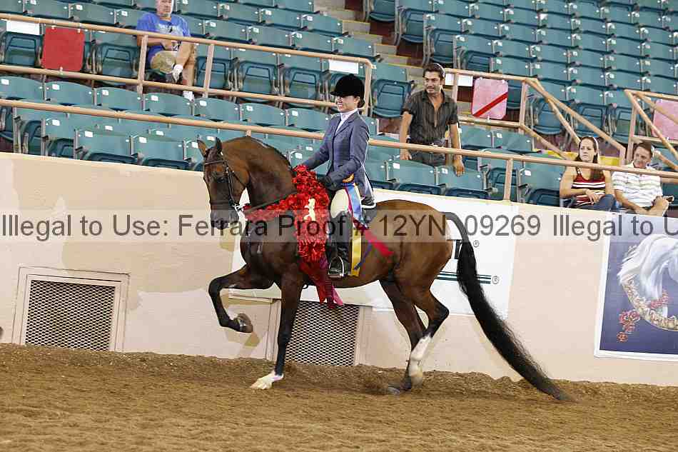 Proof 12yn_09269