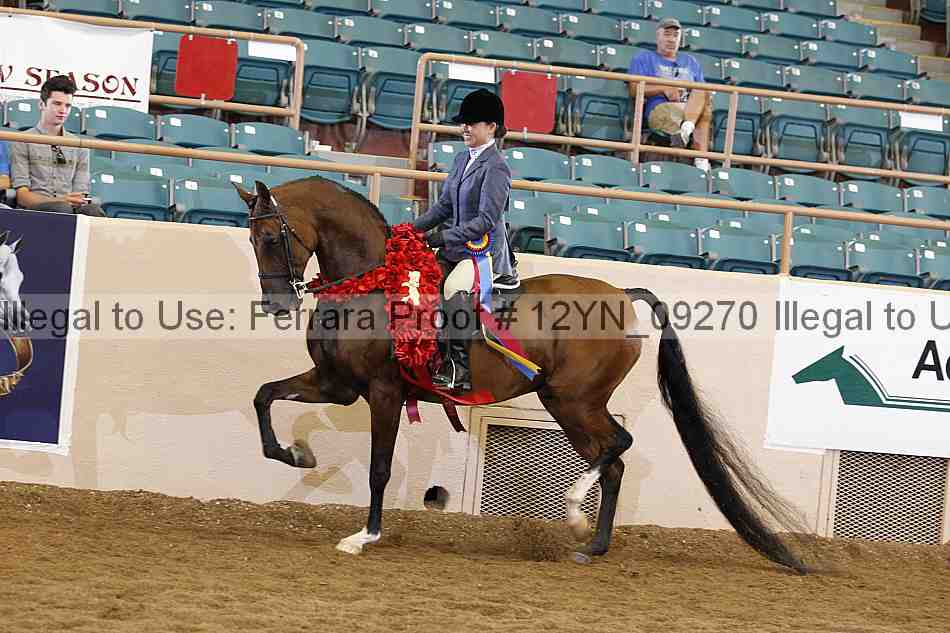 Proof 12yn_09270