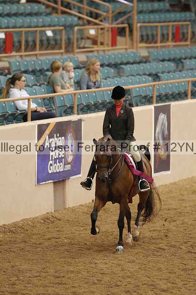 Proof 12yn_09271