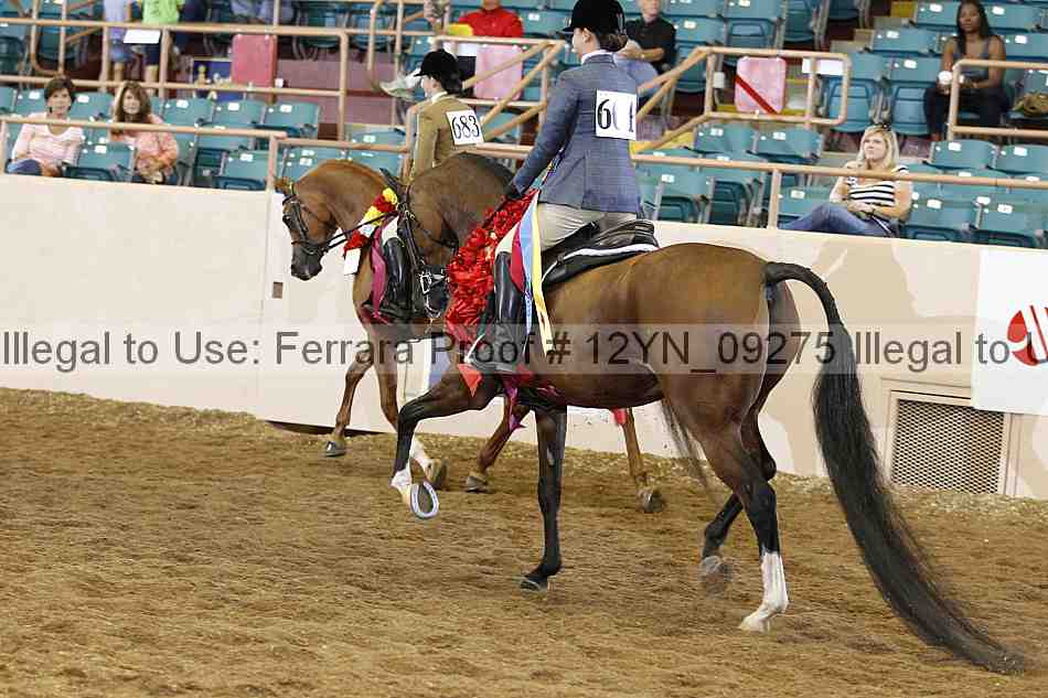 Proof 12yn_09275