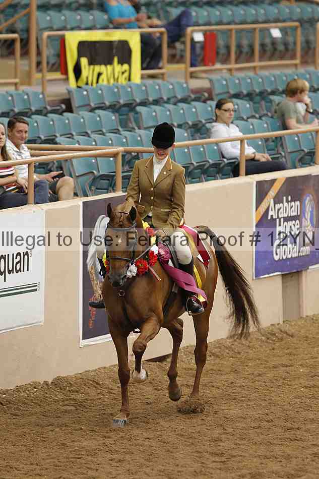 Proof 12yn_09277