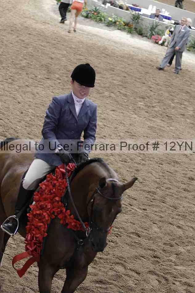 Proof 12yn_09288