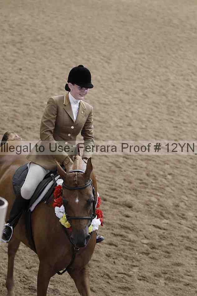 Proof 12yn_09289