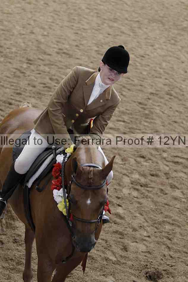 Proof 12yn_09291