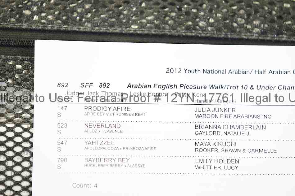 Proof 12yn_17761