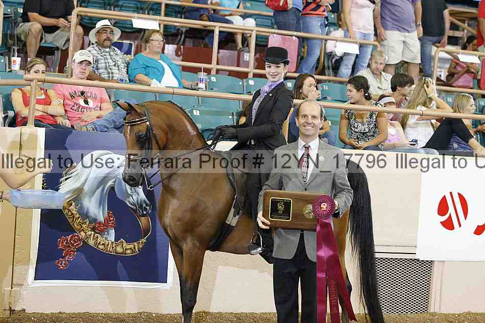 Proof 12yn_17796