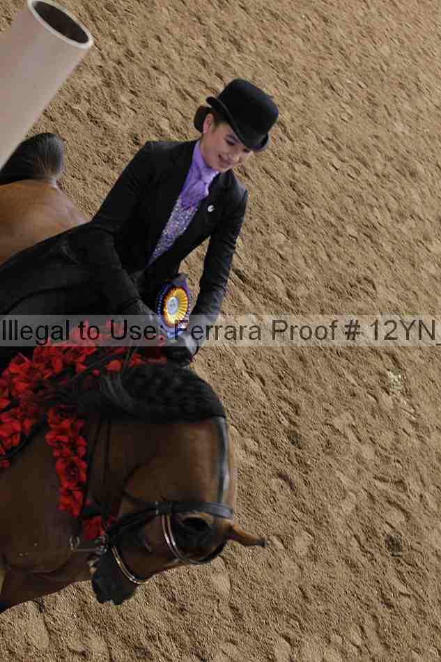 Proof 12yn_17892
