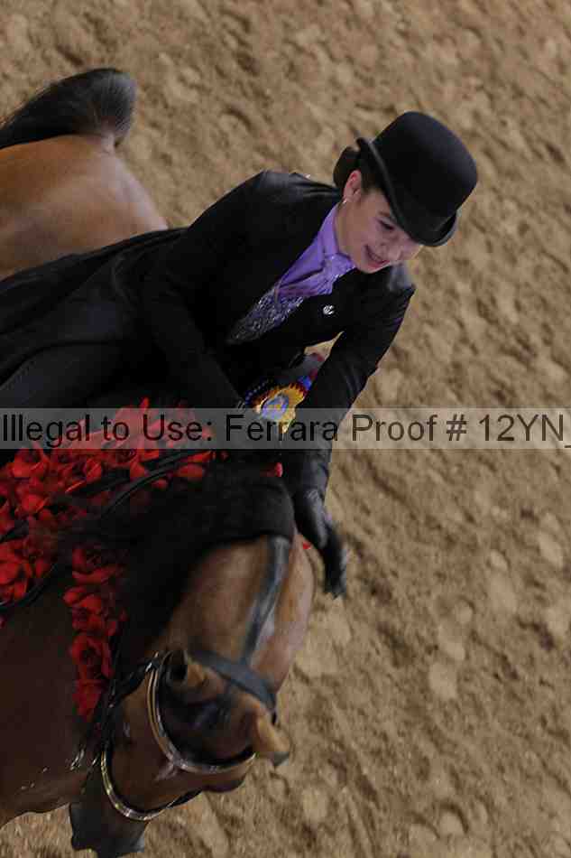 Proof 12yn_17894