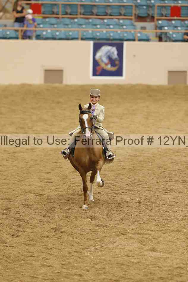 Proof 12yn_14742