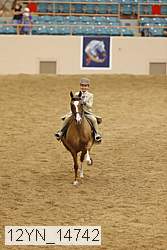 12yn_14742 proof