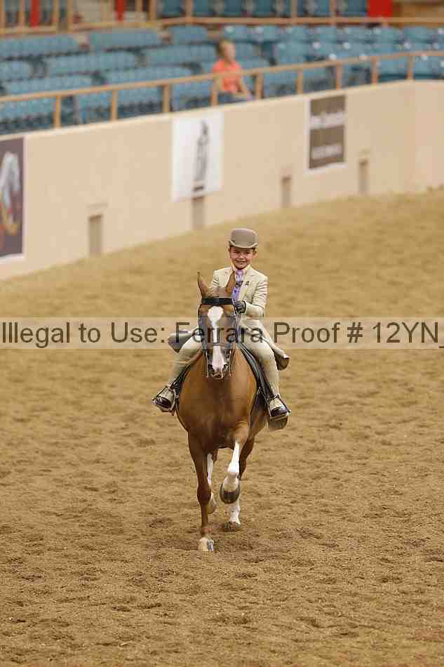Proof 12yn_14751