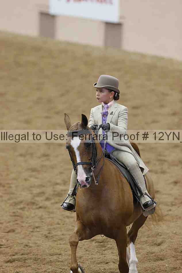 Proof 12yn_14758