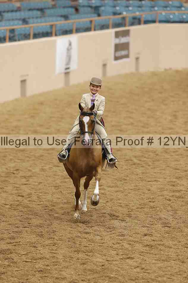 Proof 12yn_14802