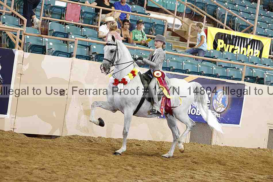 Proof 12yn_14804