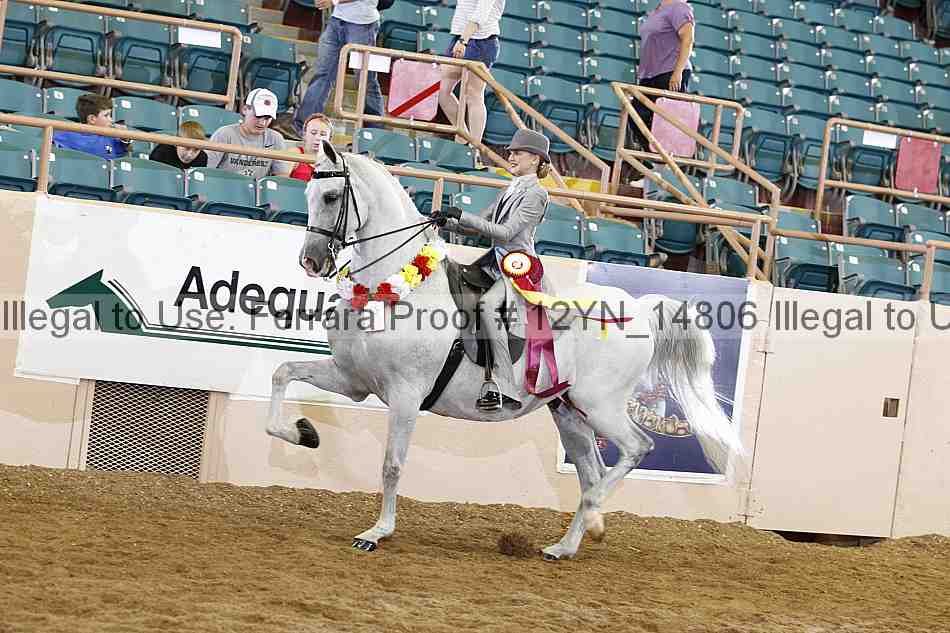Proof 12yn_14806