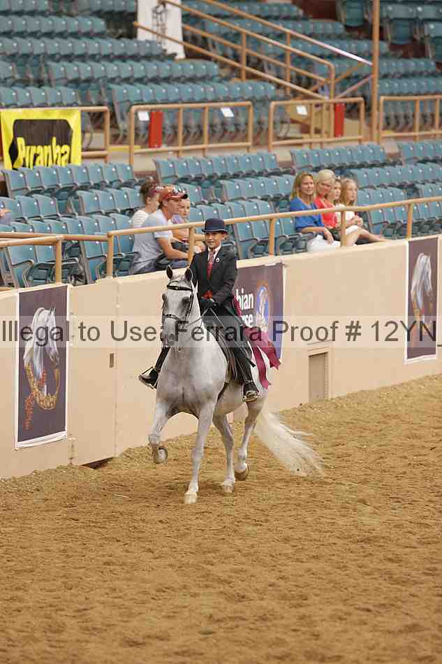 Proof 12yn_14809