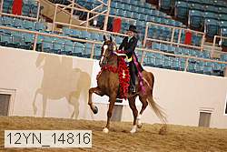 12yn_14816 proof