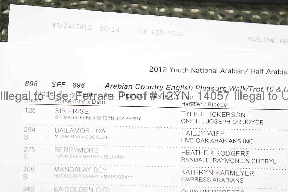 Proof 12yn_14057