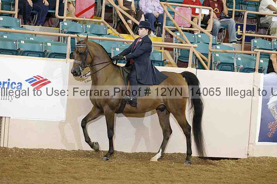 Proof 12yn_14065
