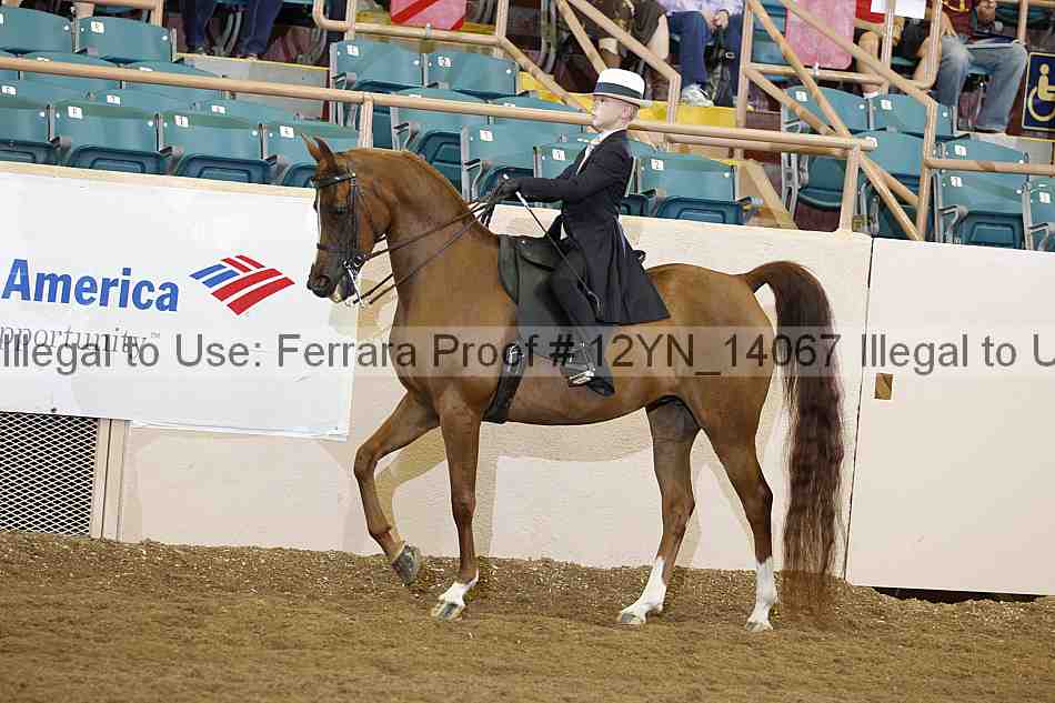 Proof 12yn_14067