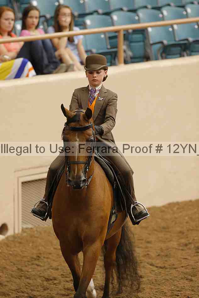 Proof 12yn_14071