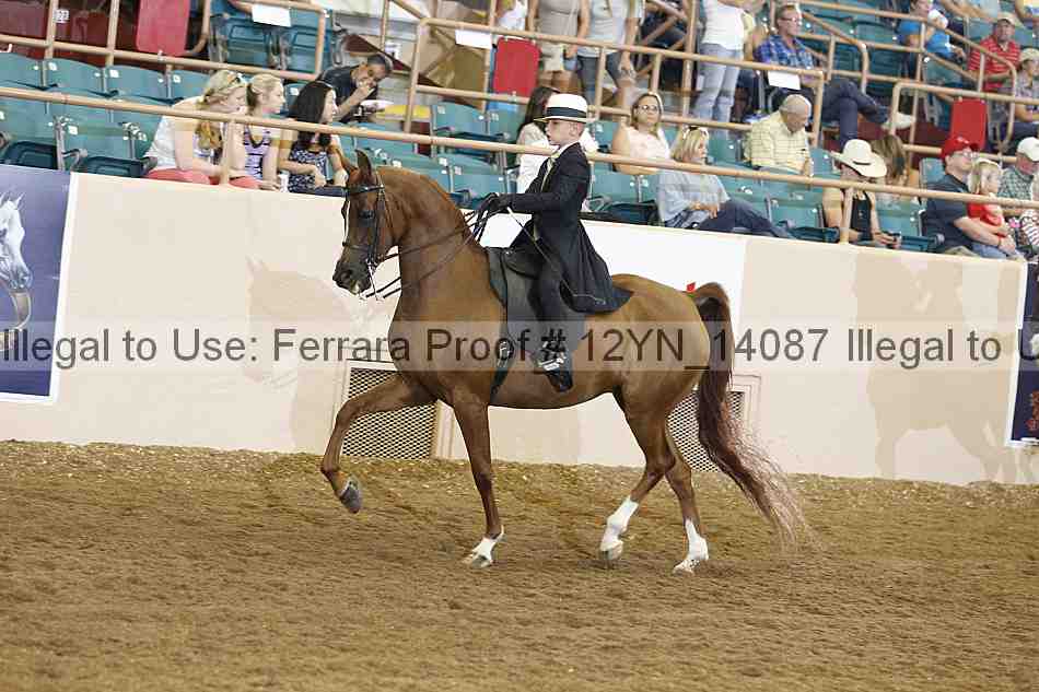 Proof 12yn_14087