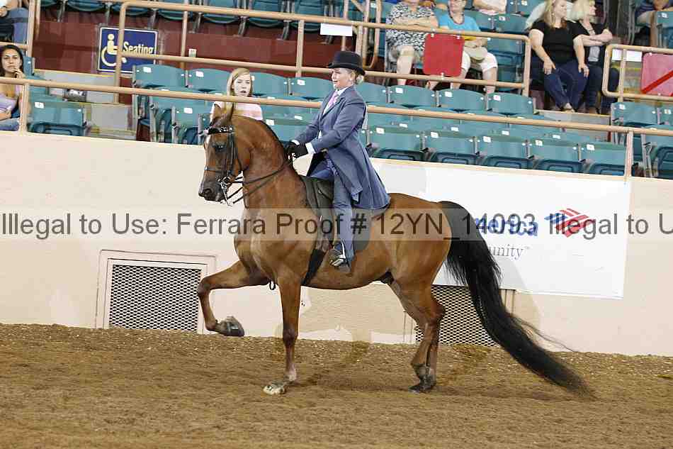 Proof 12yn_14093