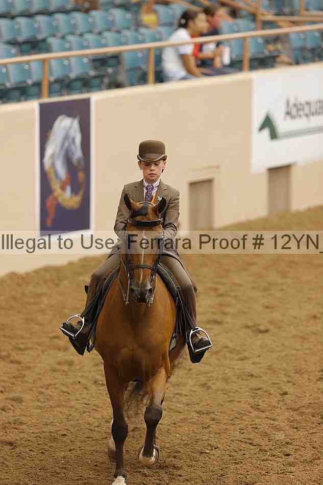Proof 12yn_14095