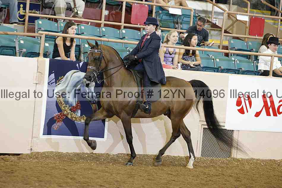 Proof 12yn_14096
