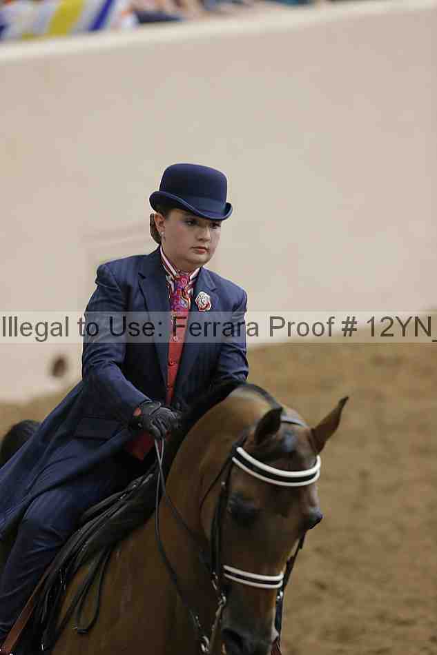 Proof 12yn_14099