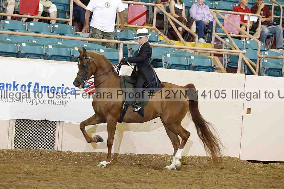 Proof 12yn_14105