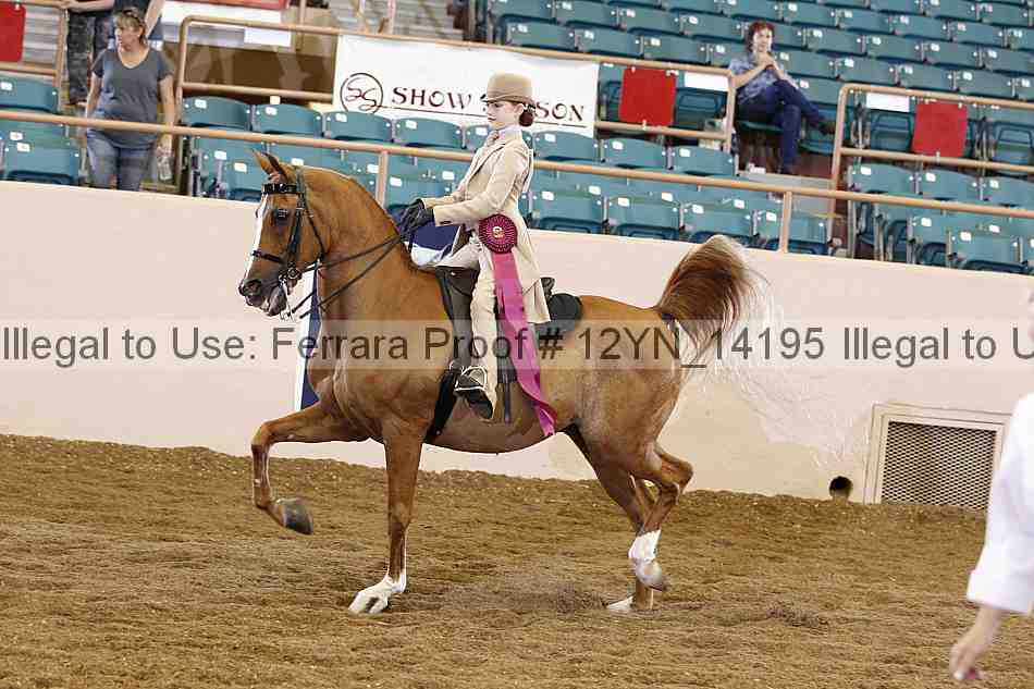 Proof 12yn_14195