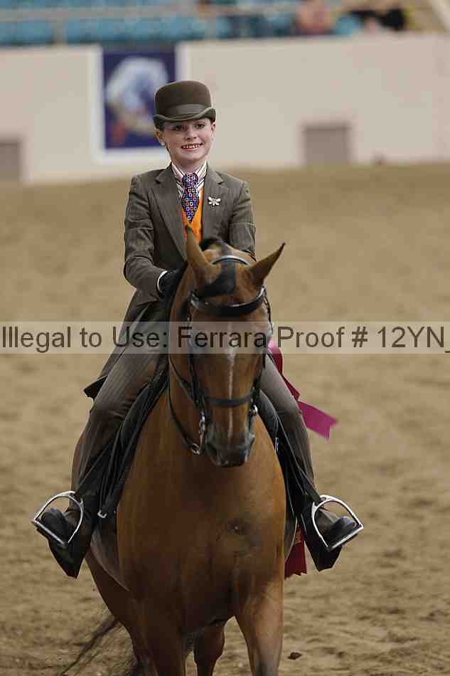 Proof 12yn_14205