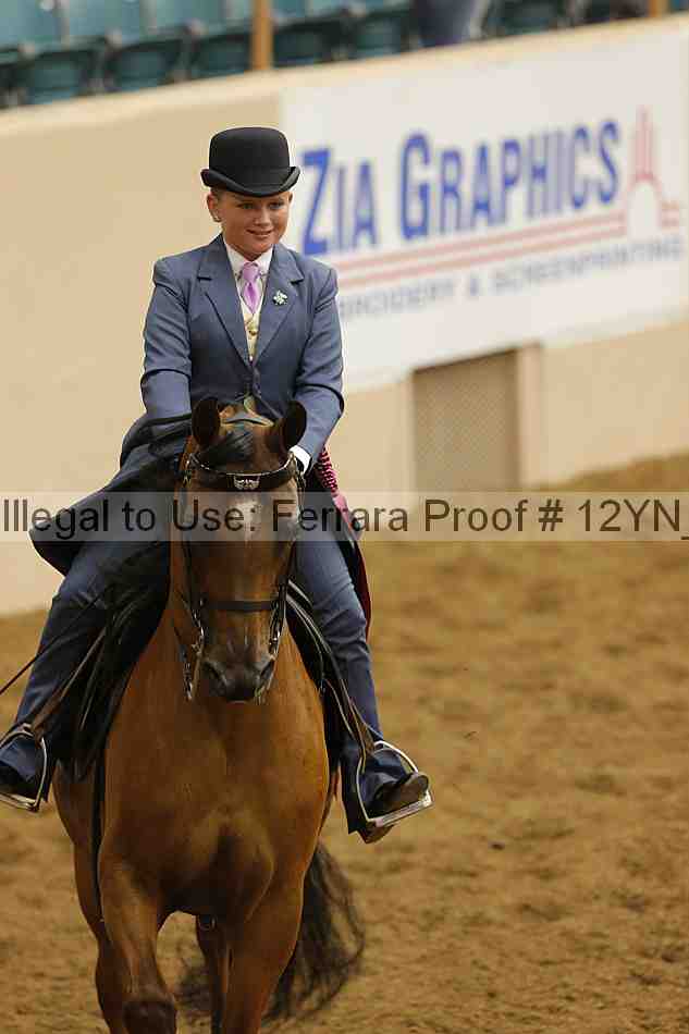 Proof 12yn_14209