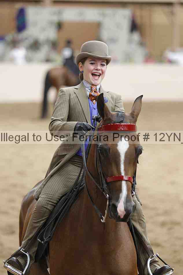 Proof 12yn_20270
