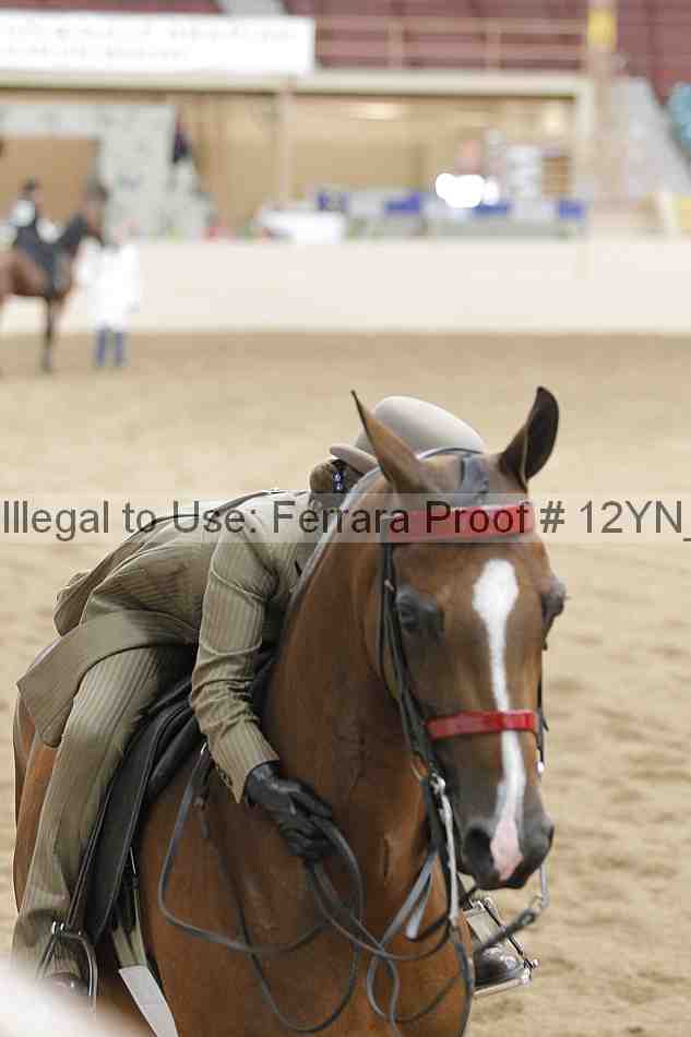 Proof 12yn_20271