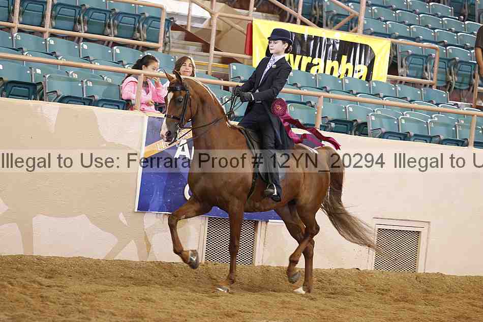 Proof 12yn_20294